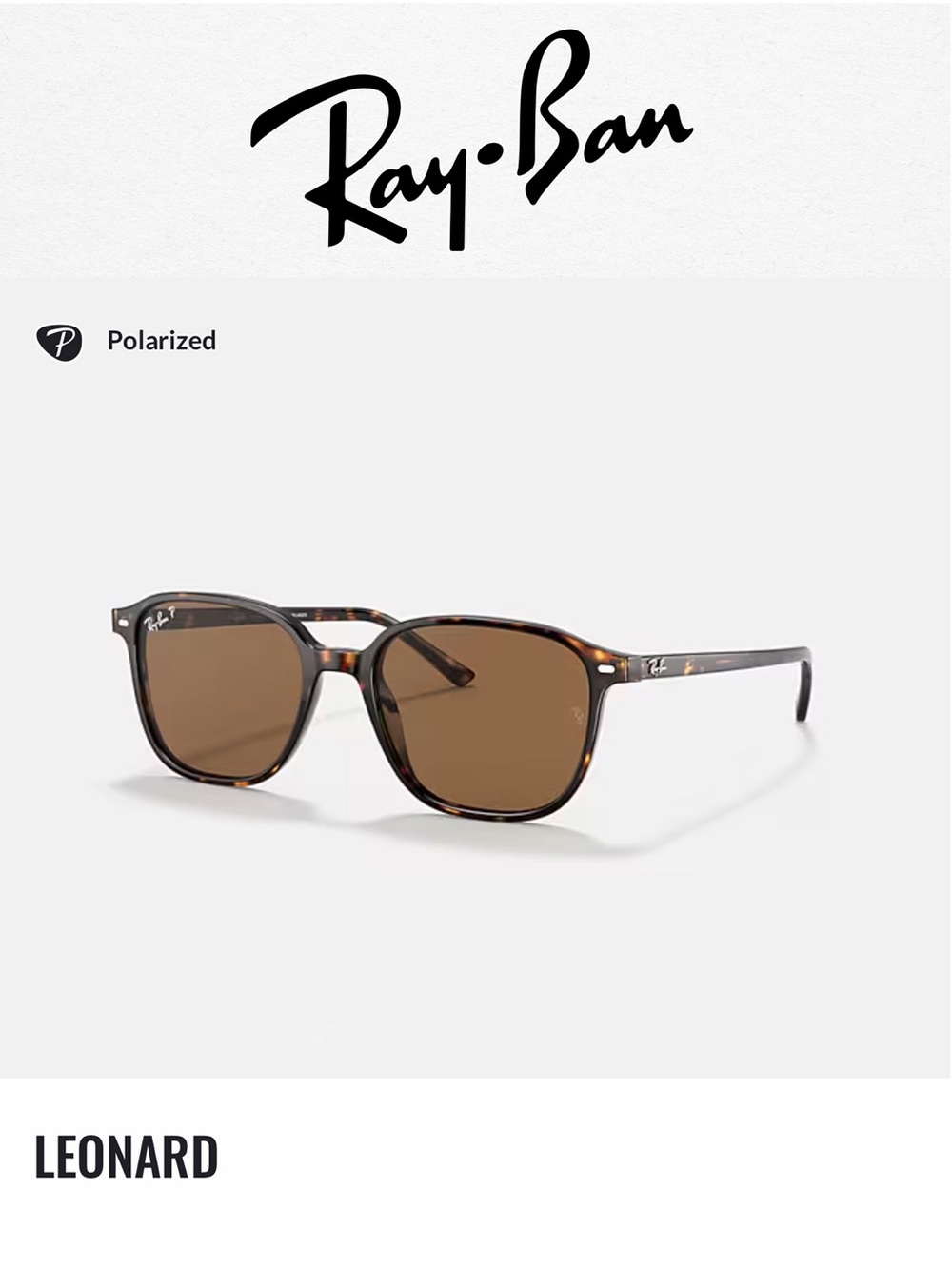 RayBan Leonard Polarized Sunglasses